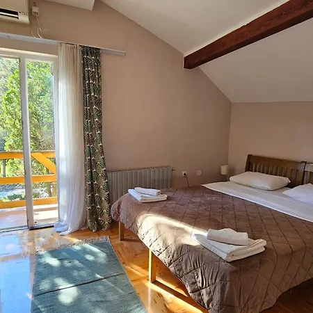 Koliba Na Grza 酒店 *